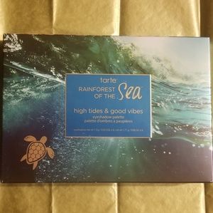 🐢 Rainforest of the sea